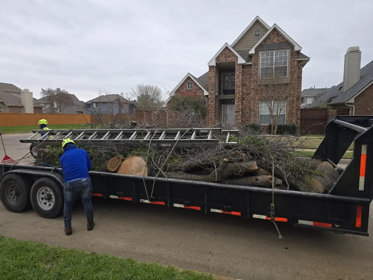 Expert Lot Clearing with proper safety equipment in Warne